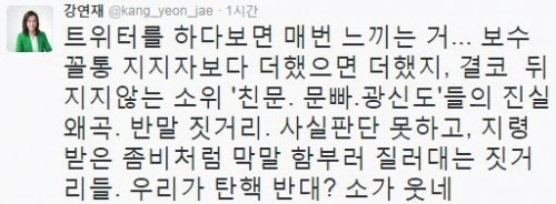 강연재 “‘친문·문빠·광신도’들…지령받은 좀비처럼 막말 질러대”