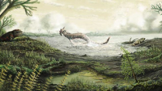 [헬로 사이언스]최초의 네발 달린 육지 척추동물 화석 발견