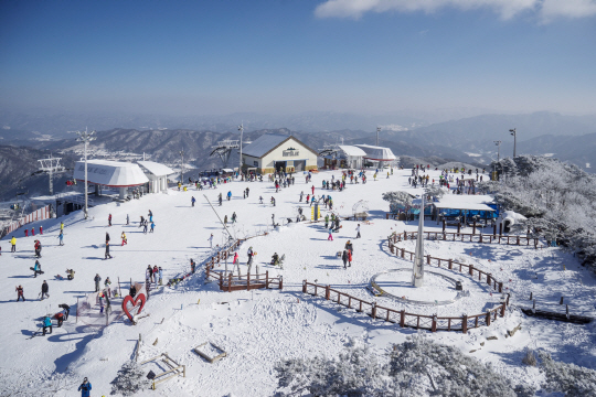 평창동계올림픽 경기장인 휘닉스파크는 ‘휘닉스’로 브랜드를 바꾸고 재도약을 준비한다.