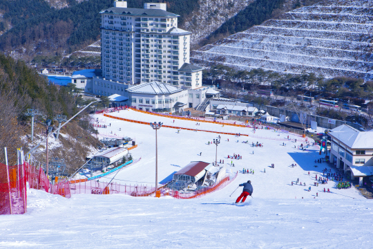 엘리시안강촌은 서울에서 가까운 초·중급자 맞춤형 스키장이다.