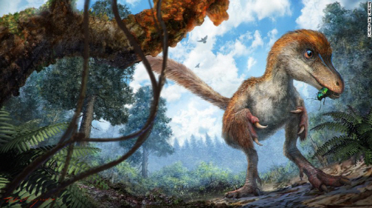 [헬로 사이언스]9,900만년전 '공룡 꼬리' 발견