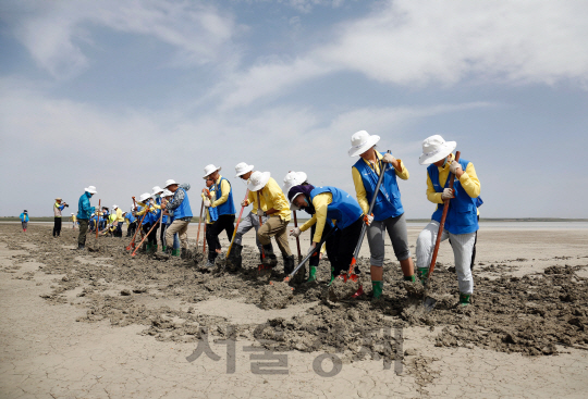 현대자동차가 중국 내몽고 지역에서 진행하는 사막화 방지 사업 모습. 중국사회과학원이 선정하는 ‘베스트 50 공익 브랜드’에서 지난해에 이어 2년 연속 3위에 올랐다/사진제공=현대차