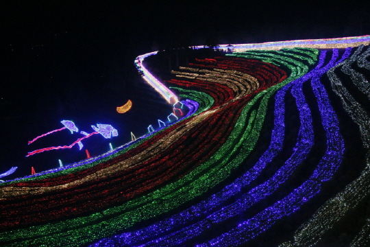 ‘보성차밭 빛축제’가 16일 점등식을 시작으로 내년 1월까지 보성읍 봉산리 한국차문화공원과 율포솔밭해수욕장 일원에서 열린다. /사진제공=보성군