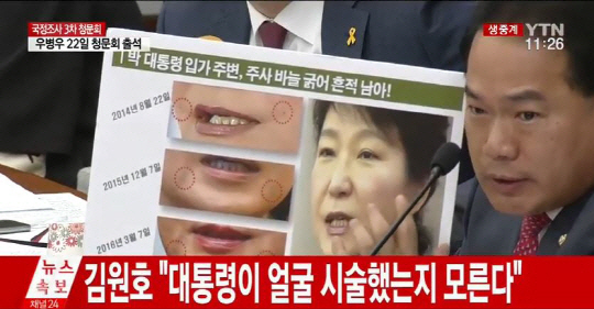박근혜 대통령 ‘피멍은 필러 자국?’ 3차 청문회 의혹 제기…그들의 답변은?