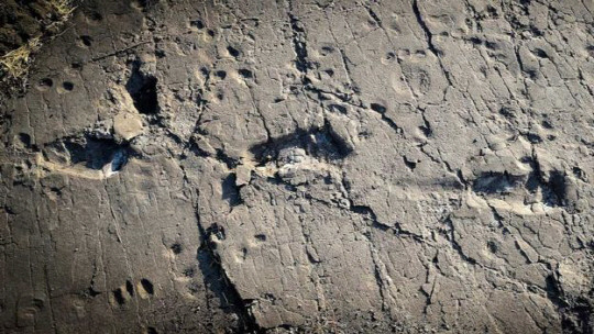 화산재에 만들어진 고대 인류의 발자국 화석이 발견됐다. /사진=BBC