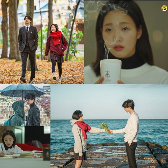 tvN ‘도깨비’ 속 네 가지 상징들 비, 양초, 메밀꽃, 단풍잎 / 사진제공 = tvN