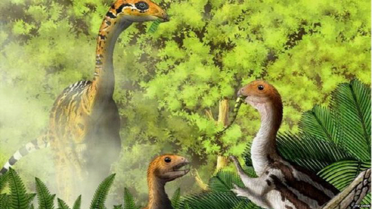 과학자들이 어렸을 때는 이빨로 육식을 하지만, 성체가 되면 부리로 풀을 먹는 공룡을 발견했다. /사진=BBC
