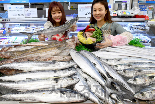 3일 오전 서울 롯데마트 서울역점에서 모델들이 다가오는 설 명절을 맞아 정부 비축 수산물을 선보이고 있다.   정부 비축 수산물이란 정부가 대중적인 인기 어종을 제철 시즌에 집중 수매해 명절 등 수요가 급증하는 시즌에 방출하는 물품으로 오는 5일부터 제주 은갈치(국내산/ 1마리 6000원), 동태(원양산/1마리 2100원), 삼치(국내산/1마리 2300원) 등을 판매할 예정이다./송은석기자songthomas@sedaily.com