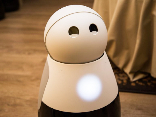 보쉬가 전액 출자한 벤처기업인 메이필드로보틱스가 선보이는 홈로봇 쿠리(Kuri).