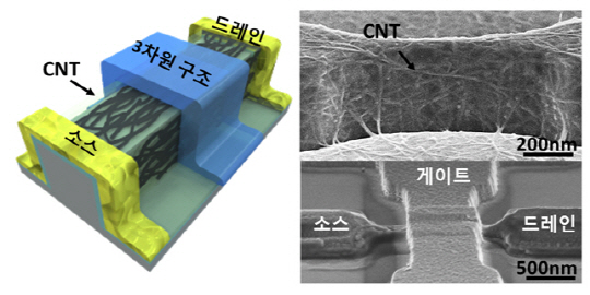 3차원 핀게이트 구조를 활용해 탄소나노튜브를 증착한 신형 반도체의 구조. 국내 연구팀이 개발했다. /이미지제공=KAIST