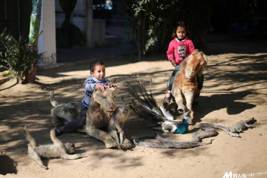 전쟁으로 굶어죽은 '동물 사체' 타고 노는 팔레스타인 아이들