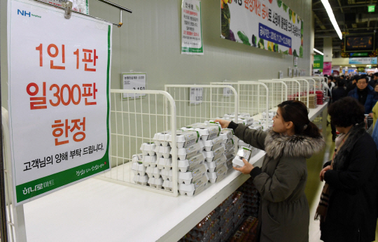 고병원성 조류인플루엔자(AI) 여파로 계란 값이 천정부지로 치솟자 정부가 계란 수입업체에 운송료 50%를 지원하고 사상 최초로 신선계란을 수입하기로 결정했다. 서울 하나로마트 양재점을 찾은 고객이 계란을 살펴보고 있다. /서울경제DB