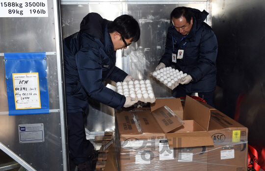 국내 업체 1곳이 샘플용으로 들여오는 미국산 계란 150kg(2천160개)이 12일 낮 아시아나 항공편을 통해 인천국제공항에 도착, 농림축산검역본부 직원들이 검역하고 있다./영종도=이호재기자.