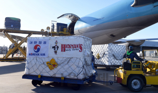 미국산 계란 100t이 14일 오전  대한항공 편으로 인천공항 화물터미널 주기장에 도착, 항공사 직원들이 하기하고 있다./영종도=이호재기자.