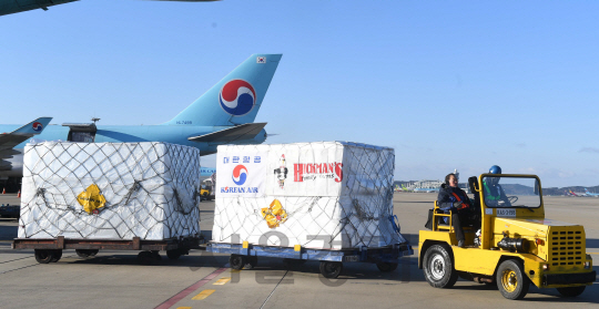 미국산 계란 100t이 14일 오전  대한항공 편으로 인천공항 화물터미널 주기장에 도착, 항공사 직원들이 하기하고 있다./영종도=이호재기자.