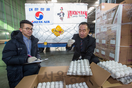 지난 14일 미국 로스엔젤레스에서 특별 화물기편으로 국내 운송된 미국산 계란에 대해 농림축산검역본부 직원들이 검수하고 있다./사진제공=대한항공