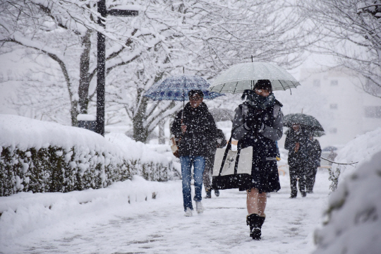 폭설이 내린 일본 기후현에서 한 여학생이 대입센터시험을 보러 걸어가고 있다./기후=지지통신연합뉴스