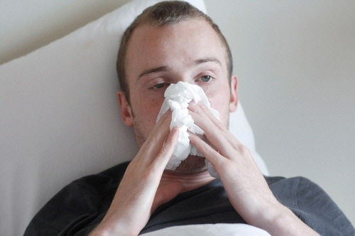 감기와 함께 오는 축농증…한국형 유산균이 예방에 도움