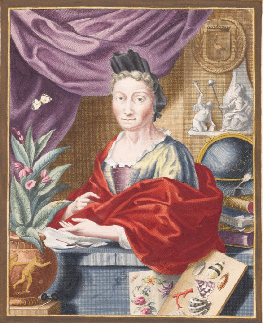 독일에서 태어나 네덜란드에서 산 마리아 지빌라 메리안은 화가, 식물학자, 동식물연구가, 곤충학자로서 성공적인 삶을 살았다./사진=뉴욕타임스