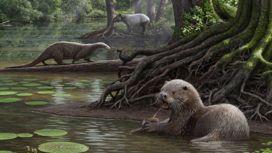 624만년 전 늑대 만한 크기의 수달이 살았을 때를 그린 상상도. /사진=BBC
