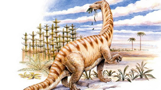 쥐라기 초기에 살았던 루펜고사우르스는 긴 목을 지닌 몸길이가 9미터에 이르는  초식 공룡이었다./사진=BBC