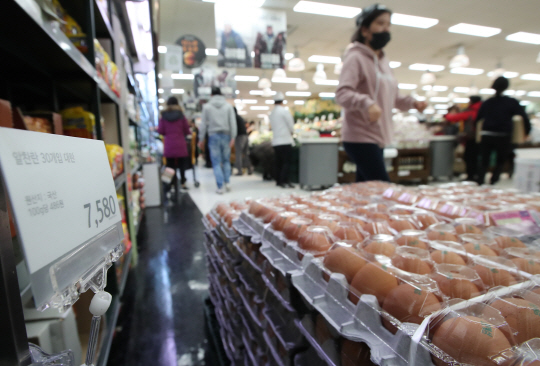 정부 주도로 수입 계란이 시장에 풀리면서 계란값이 점차 하락세로 돌아서고 있다. /연합뉴스