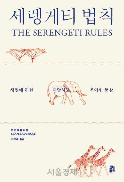 신간 [세렝게티 법칙]