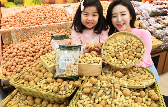 7일 오전 중구 봉래동 롯데마트 서울역점에서 모델들이 '정월대보름 기획전'을 소개하고 있다. 롯데마트는 한 해의 액운을 쫓고 행복과 건강을 기원하고자 부럼깨기용 부럼호두(미국산/100g)를 1,600원에, '부럼땅콩'(국산/100g)을 2,000원에 판매하며 호두/땅콩/피잣으로 구성한 소포장용 부럼세트(원산지상이/335g)도 1봉 8,500원에 판매한다./송은석기자songthomas@sedaily.com