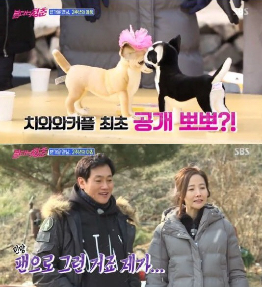 ‘불청’ 박형준, 김국진♥강수지에 강아지 인형 선물…“서로 보고 싶을 때 보세요”