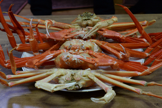 대게는 찬바람이 불면 살이 오르고 맛도 좋지만 올해는 예년에 비해 조황이 좋지 않아 값이 비싼 편이다.