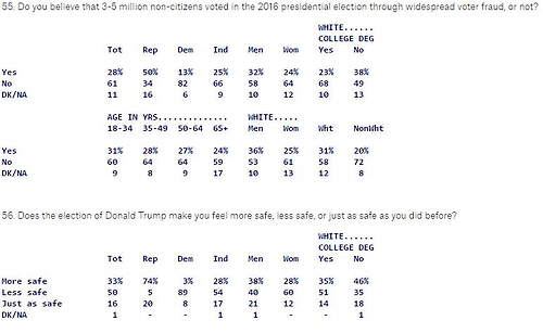 트럼프 탓에 덜 안전, 50% 미국인 답변 ‘불법투표 주장’ 믿지 않아
