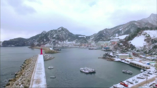‘한국기행’ 울릉도 나리분지, 한국서 눈 제일 많이 내리는 곳의 겨울이야기
