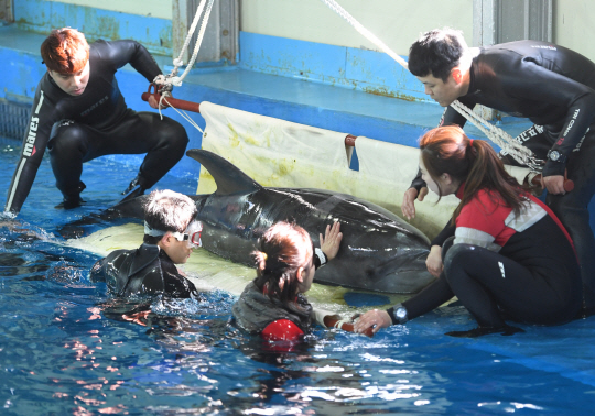 지난 9일 오후 울산 남구 고래생태체험관에서 사육사들이 돌고래의 상태를 살펴보고 있다. 고래생태체험관은 일본에서 수입한 돌고래 2마리를 이날 약 32시간만에 울산으로 옮겨왔다. /연합뉴스