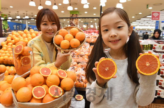 롯데마트, 풍부한 과즙의 '카라카라 오렌지' 판매
