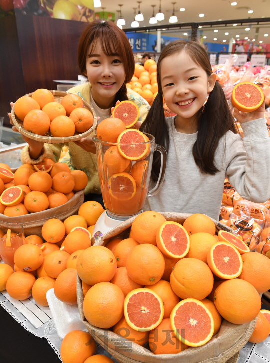 21일 서울 봉래동 롯데마트 서울역점에서 모델들이 일반 오렌지보다 비타민A와 비타민C가 풍부해 미국에서 '파워 오렌지'라고 불리는 캘리포니아산 '카라카라 오렌지'를 선보이고 있다. '카라카라 오렌지'는 일교차가 큰 기후에서 재배돼 당도가 높고 과즙이 풍부하며 천연 항산화 성분인 '라이코펜'을 다량으로 함유하고 있다. 가격은 한 봉에 4,980원./권욱기자ukkwon@sedaily.com