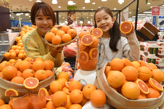 서울 롯데마트 서울역점에서 21일 모델들이 일반 오렌지보다 비타민A와 비타민C가 풍부해 미국에서 ‘파워 오렌지’라고 불리는 캘리포니아산 ‘카라카라 오렌지’를 선보이고 있다. 오는 23일부터 롯데마트에서 판매되며 가격은 한 봉에 4,980원이다. /권욱기자