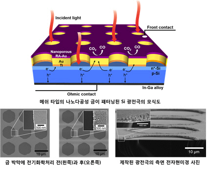 연구팀에서 개발한 실리콘(Si) 광전극 모식도 및 전자현미경 사진./사진=KAIST