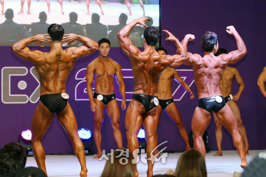 25일 열린 ‘2017 스포엑스 & WFF 코리아 챔피언십(2017 SPOEX & WFF KOREA CHAMPIONSHIP)’ 대회에서 참가선수들이 포즈를 취하고 있다.