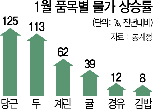 [생활물가 진단]한국은행 “물가 추가 상승 압력 크지 않다”