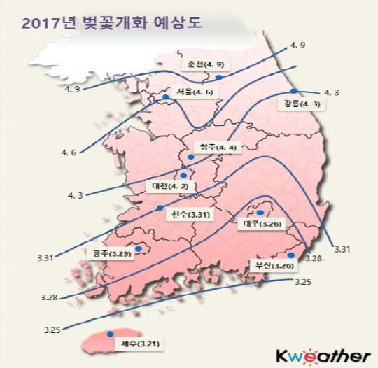 ‘2017년 벚꽃 개화시기’ 제주 3/21, 서울 4/6…평년보다 2~5일 빨라 설렘설렘!