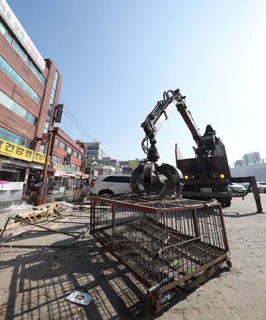 [오늘의 애니Pick]'개고기 반대vs생존권 문제' 두쪽으로 갈라진 성남 모란시장