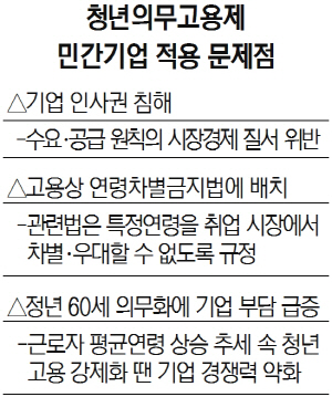 청년의무고용문제 민간기업 적용 문제점