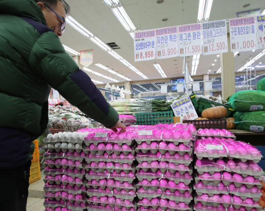 한 대형마트에서 손님이 미국에서 수입된 계란을 고르고 있는 모습. /서울경제DB