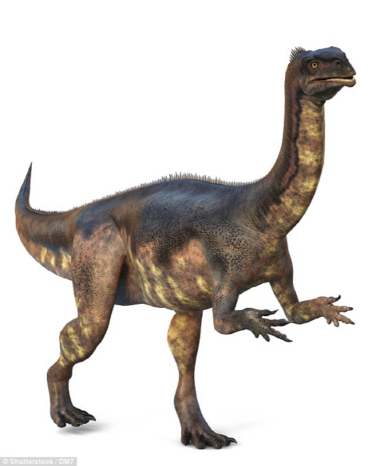 초식 공룡인 플라테오사우루스의 상상도. 많은 두발 공룡이 초식 공룡이었다. 이는 앞발을 자유롭게 해서 사냥할  때 썼다는 가설이 틀렸음을 확인시켜준다.  /사진=데일리메일
