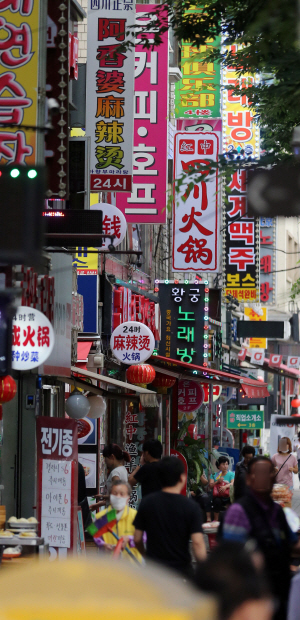 서울 영등포구 대림역 인근에 중국인을 대상으로 한 점포들이 밀집돼 있다. 대림동은 거주하는 중국인과 중국인이 소유한 부동산이 늘면서 부동산 시장의 명암이 엇갈리고 있다. /서울경제DB