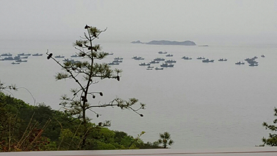 연평 어장에서 불법 어로 행위를 하고 있는 중국 어선들. /사진제공=연평어촌계