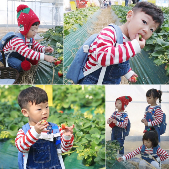 /사진=KBS 2TV ‘해피선데이 -슈퍼맨이 돌아왔다’