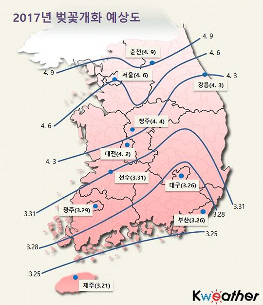 2017년 벚꽃 개화 시기 “평년보다 빨리 개화할 것”