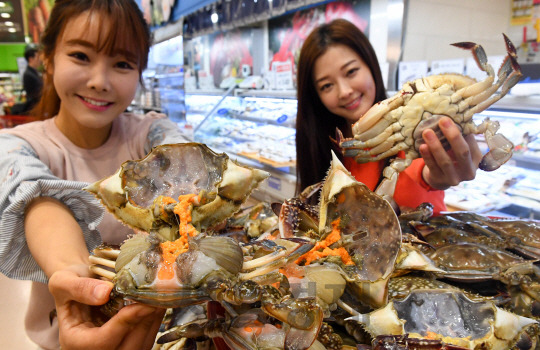 23일 오전 롯데마트 서울역점 수산매장에서 모델들이 알이 꽉 찬 봄철 암 꽂게를 선보이고 있다. 롯데마트는 산란기를 앞두고 밥 도둑으로 유명한 암 꽂게를 오는 29일까지 100g 당 3,980원에 판매한다./송은석기자songthomas@sedaily.com