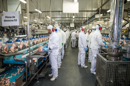 브라질 닭고기 수출회사 BRF 육가공 작업장에서 작업자들이 육류 선별작업을 하고 있다./리오베르데=신화연합뉴스
